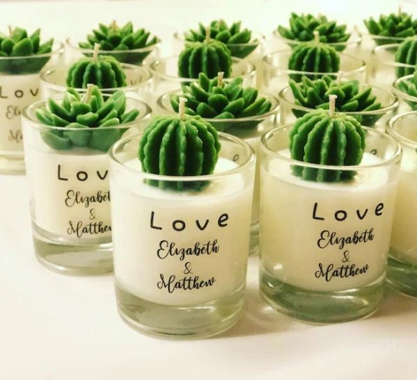 Add a Little Green to Your Wedding with Succulent Favors - Forever Wedding Favors