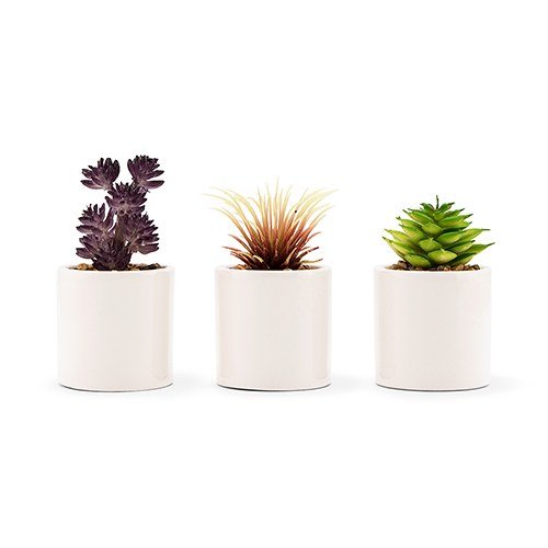 Small Faux Succulent Plants - Forever Wedding Favors
