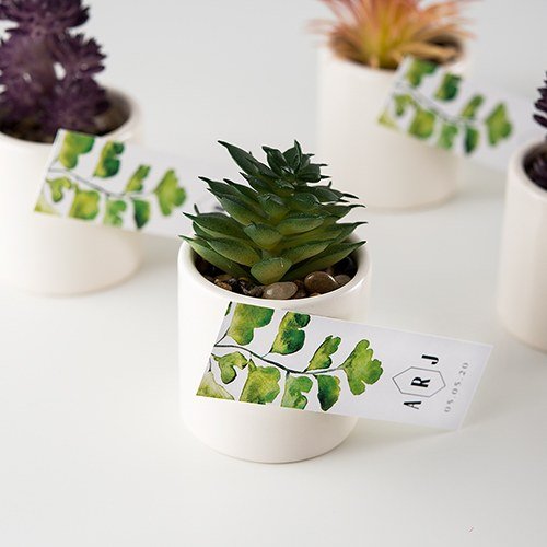 succulent plants for wedding favors Small Faux Succulent Plants