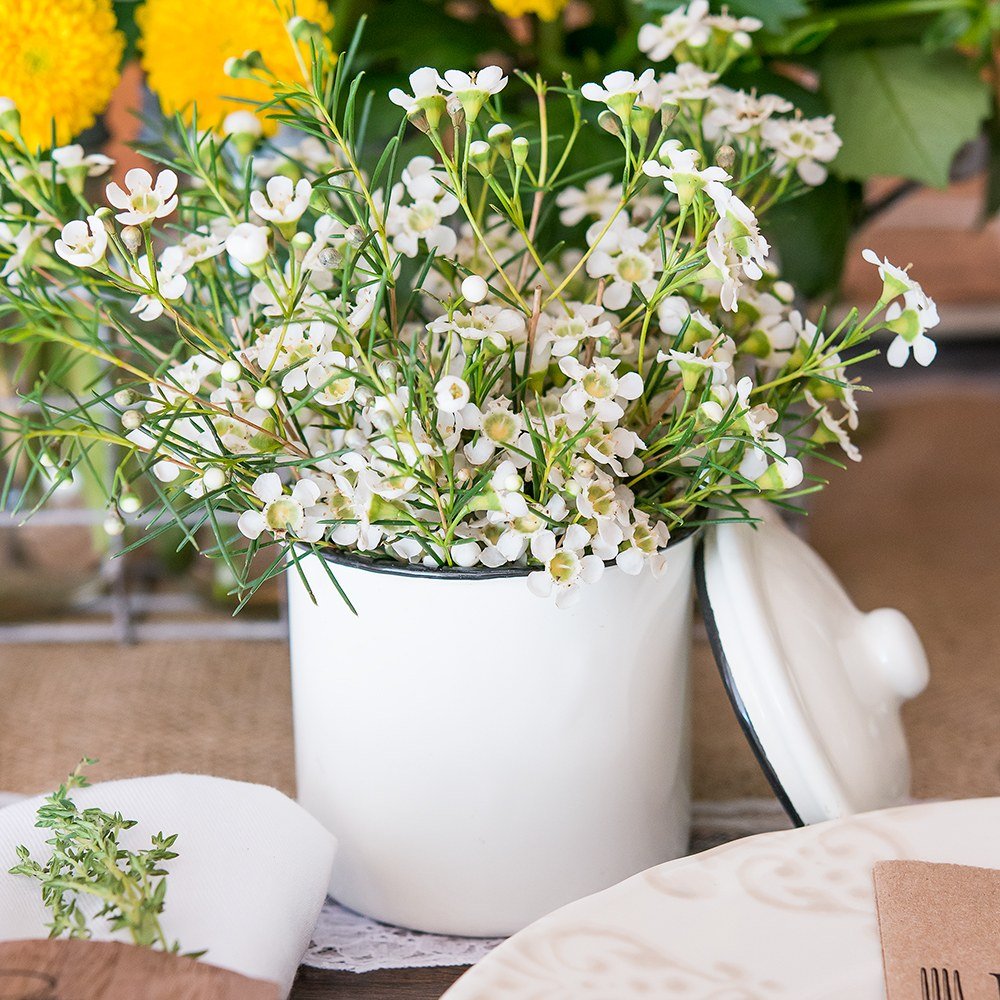 Vintage White Enamelware Canister With Lid Favor - Forever Wedding Favors
